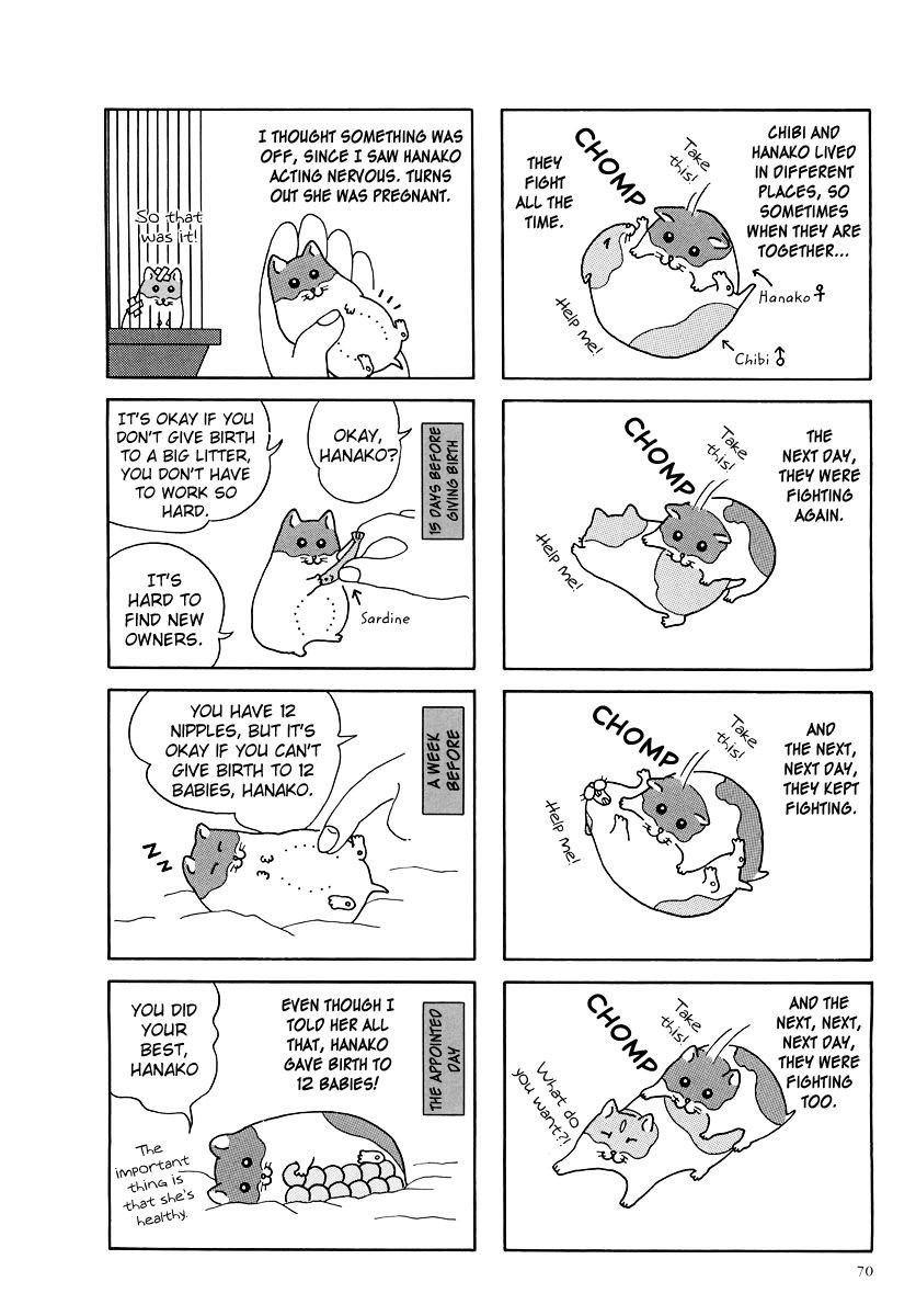 Hamster Chapter 8 2