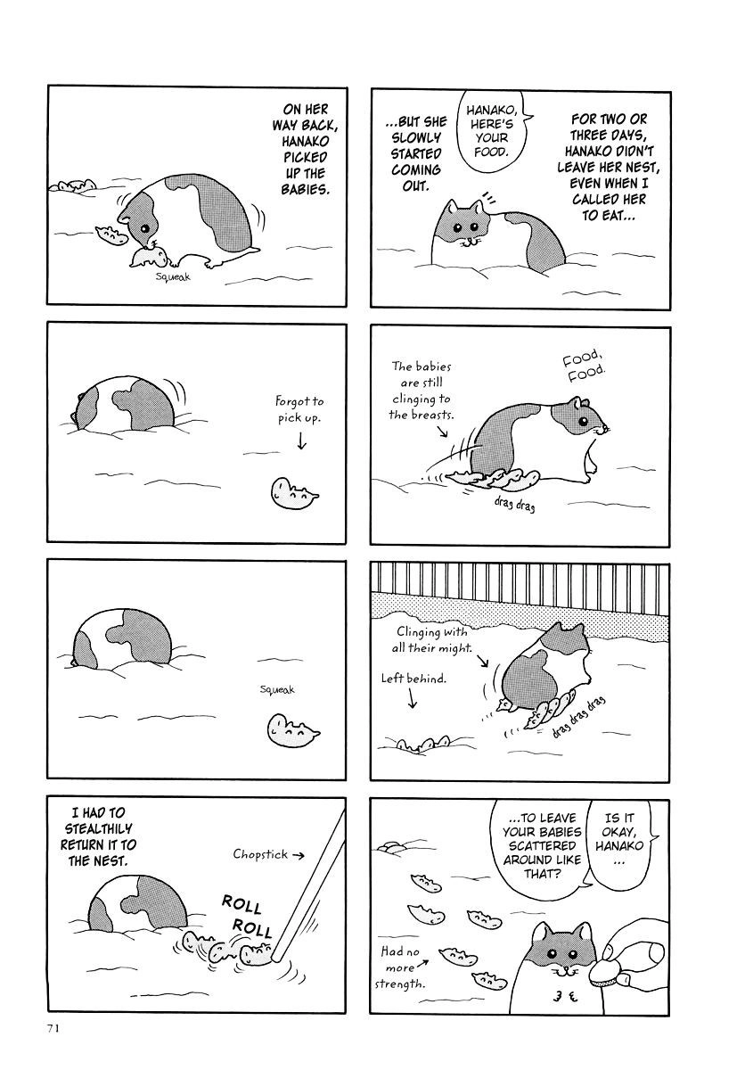 Hamster Chapter 8 3