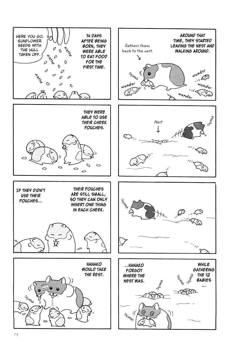 Hamster Chapter 8 5