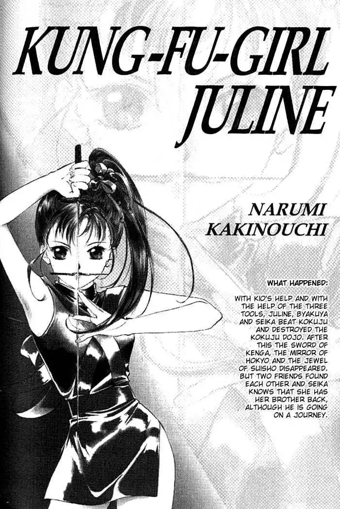 Kung-Fu Girl Juline Chapter 20