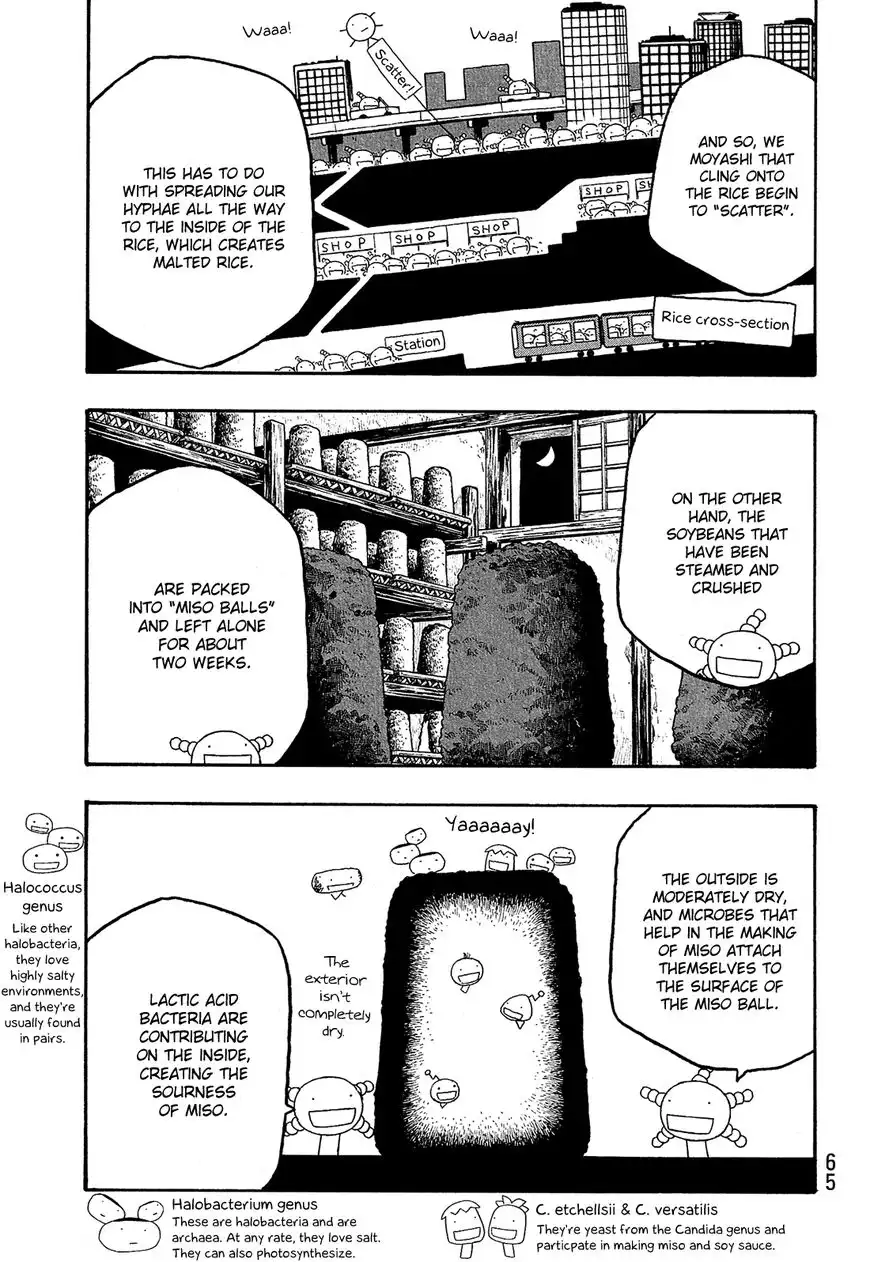 Moyashimon Chapter 79