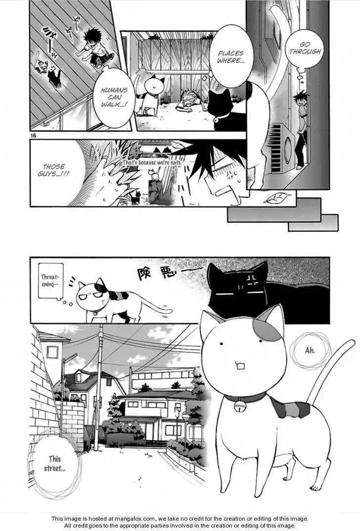 Nyankoi! Chapter 13