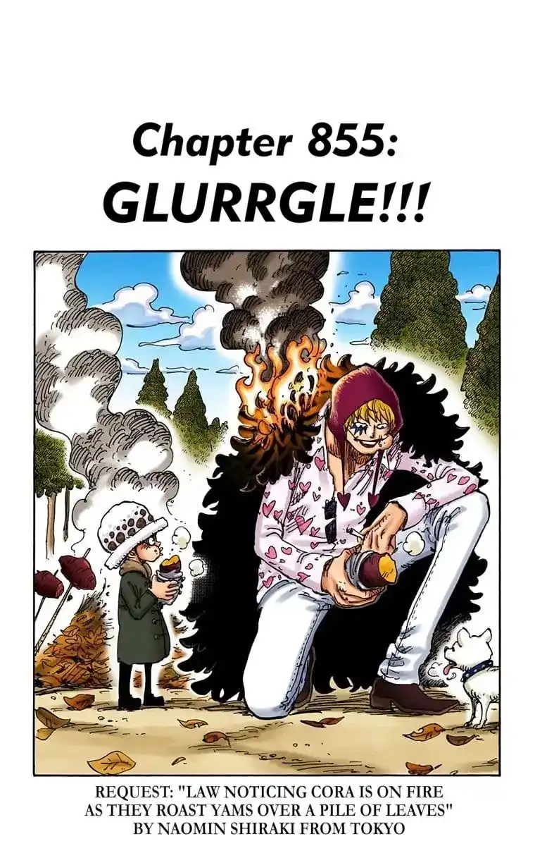 One Piece - Digital Colored Comics Chapter 855