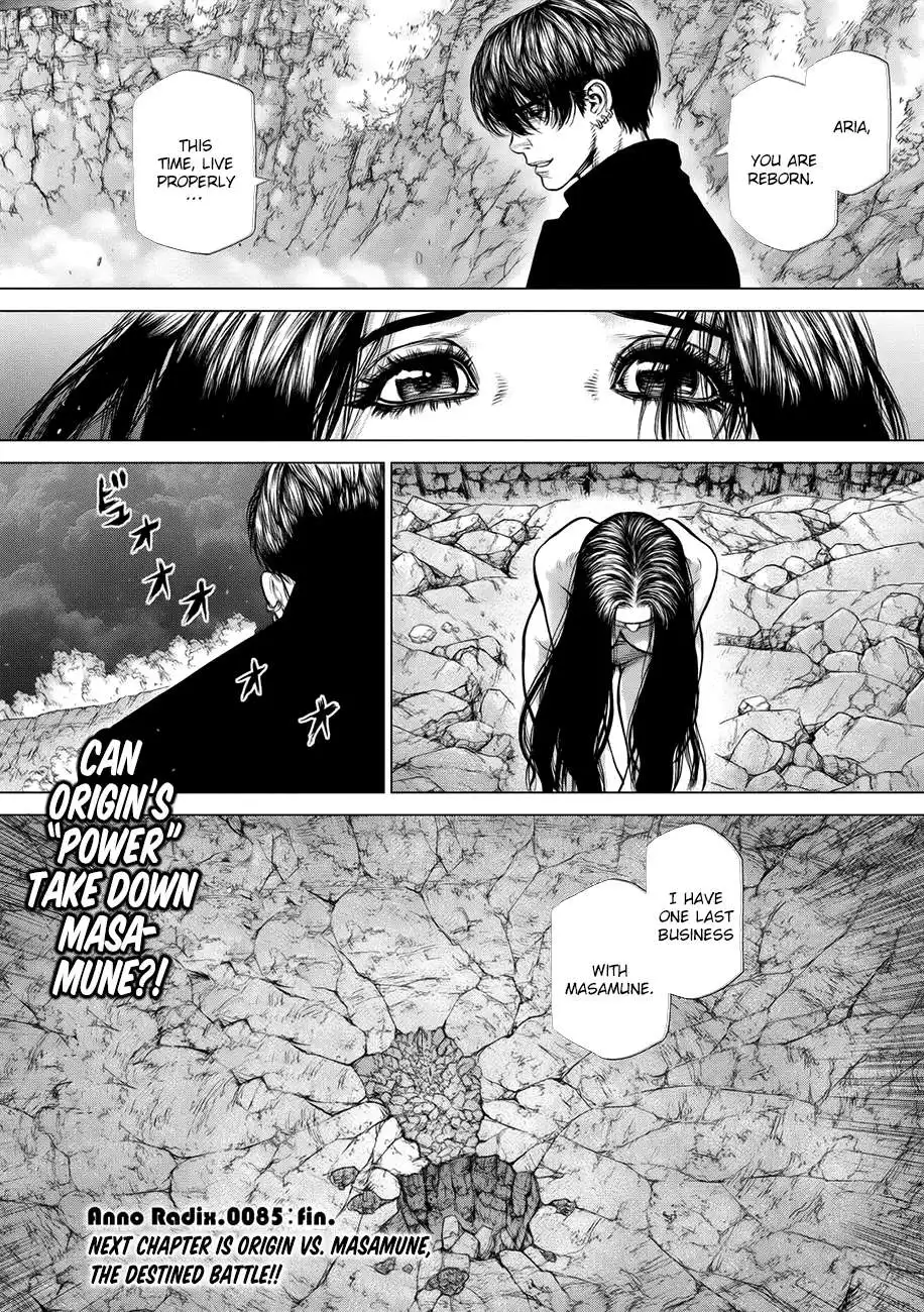 Origin Chapter 85